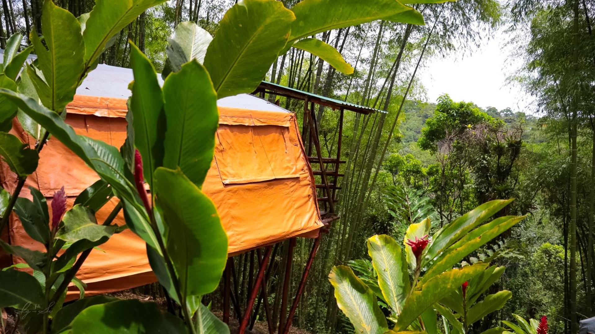 Essence Arenal Spa & Yoga El Castillo Екстер'єр фото