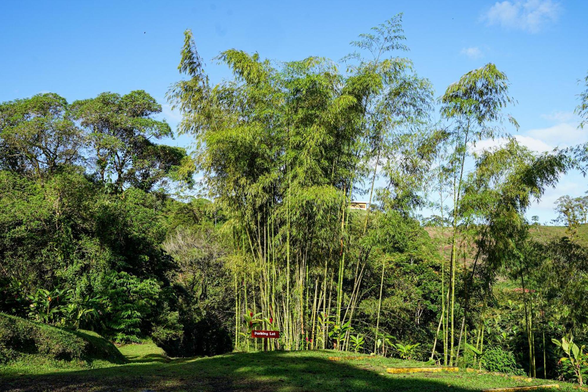 Essence Arenal Spa & Yoga El Castillo Екстер'єр фото